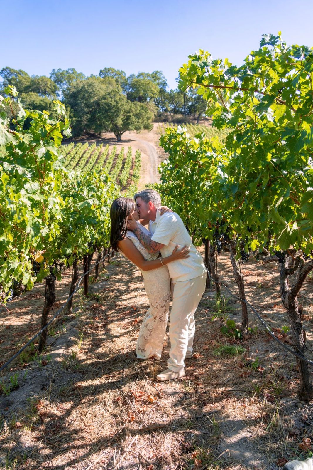 Ashley and Eli kissing among the grapevines on a sunny vineyard hillside